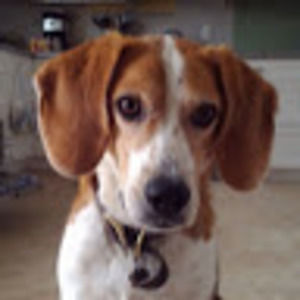 Meet your Posher, Kath7691